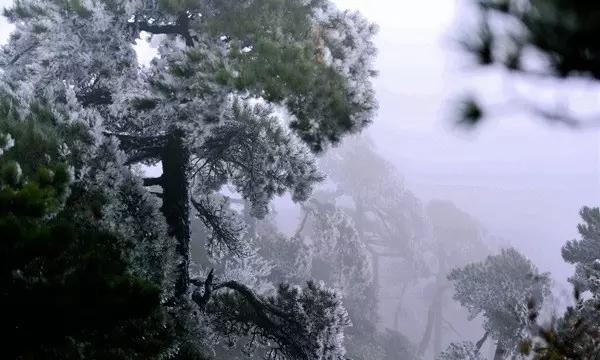 你能逃离此地吗