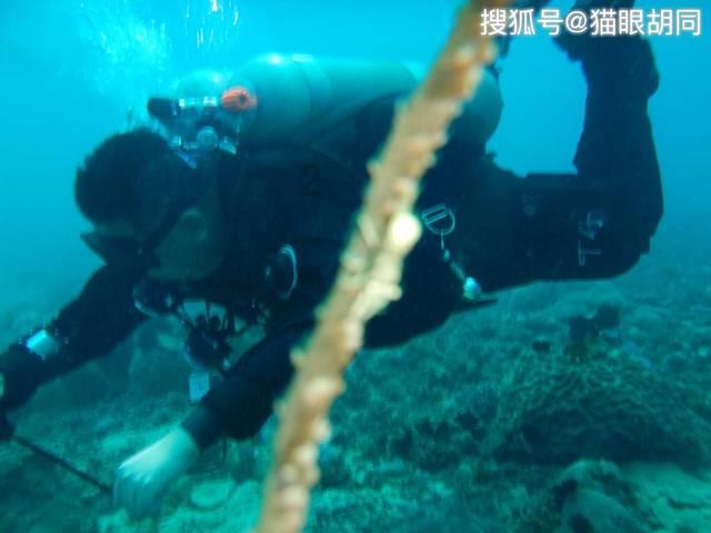 如何挽回我的老公