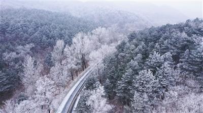 万物云：2023年半年度利润分配以股代息方案实施，发行约276.87万股代息股份